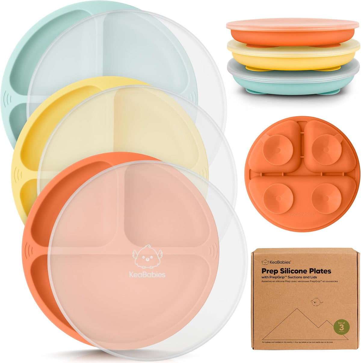 Silicone suction plates with lids, view 10